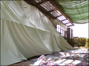 �������żt�䞳���Ǖ�����ꖏ���Ĥ