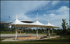 �V���w�����ľ��^Ĥ