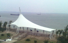 �V���J�݇�Ͷ늏S�^���_����Ĥ