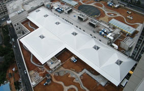 ����g���̘I�����Ĥ